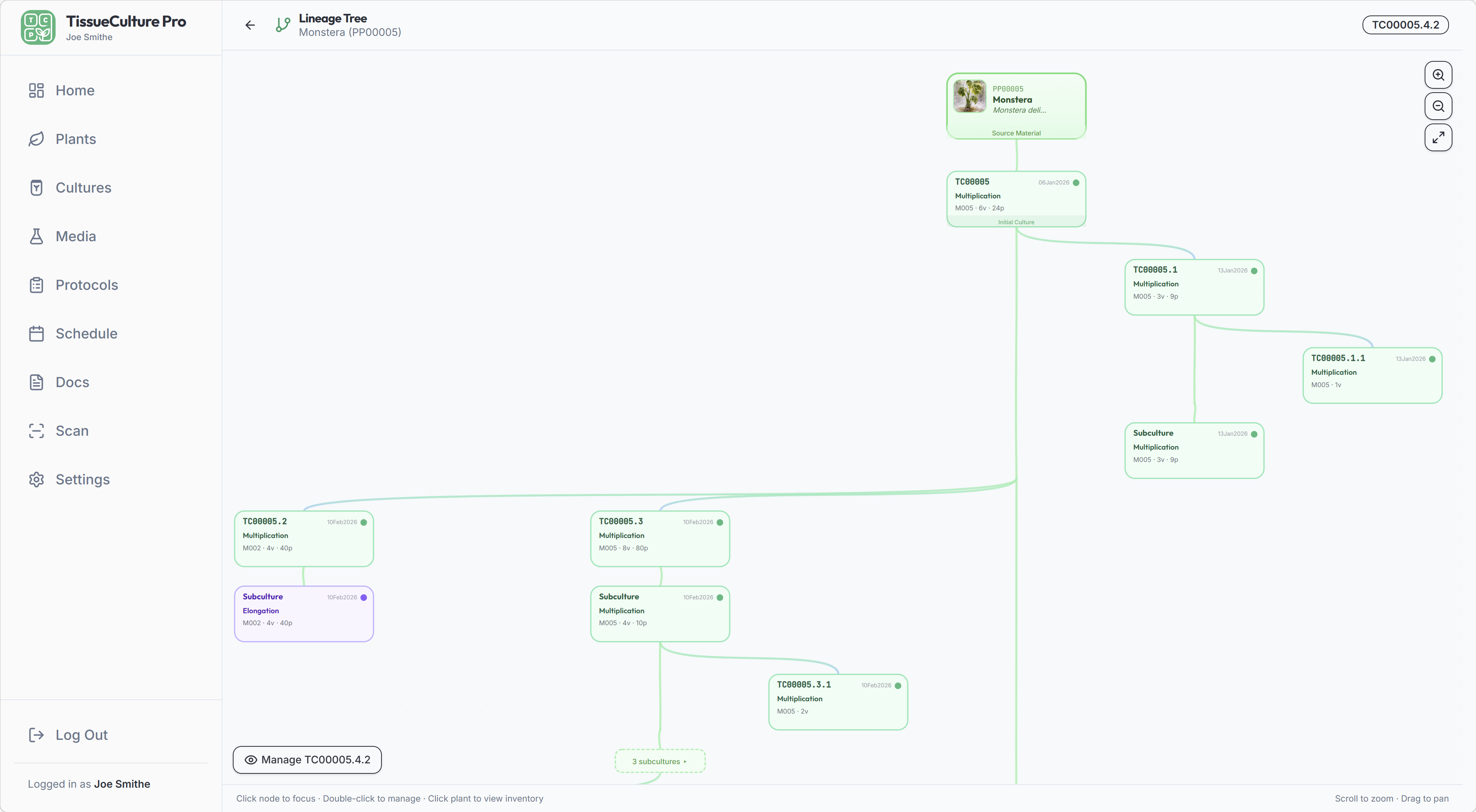 Interactive lineage tree showing culture ancestry from mother plant through subcultures